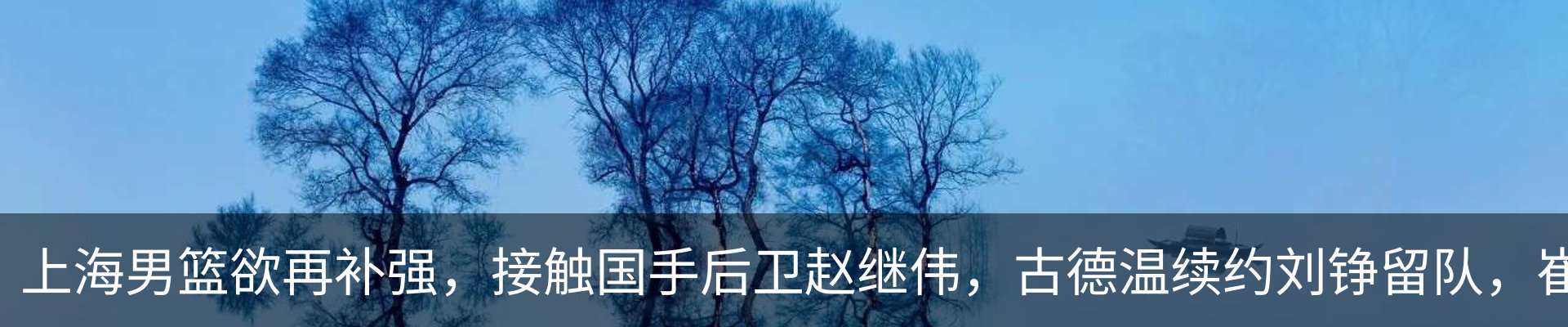 新闻动态