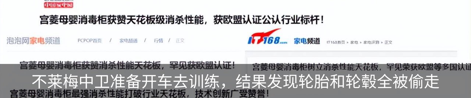 新闻动态
