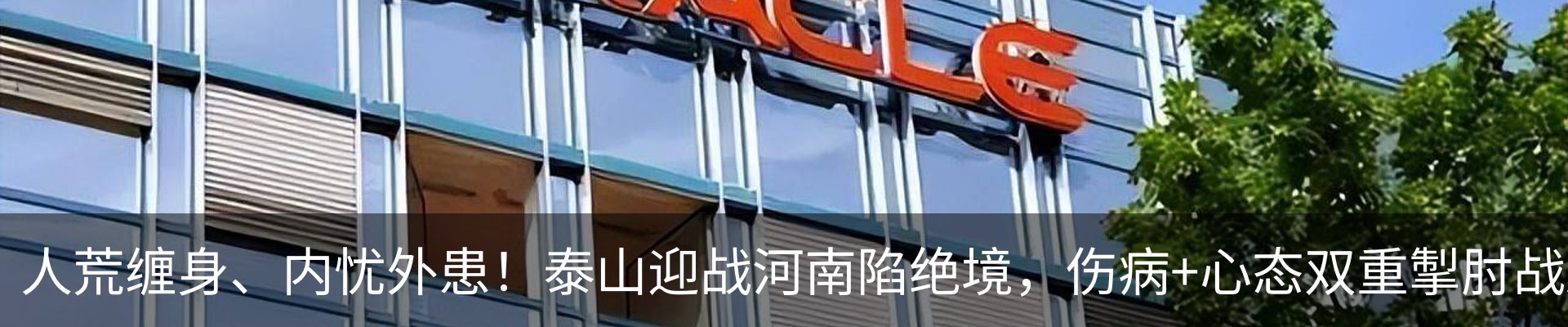 新闻动态