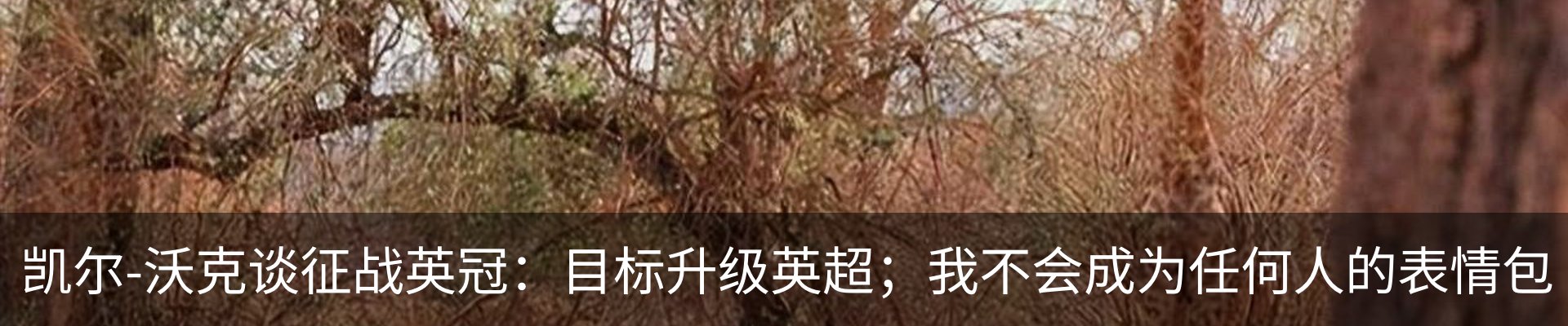 新闻动态