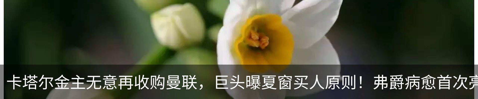 新闻动态