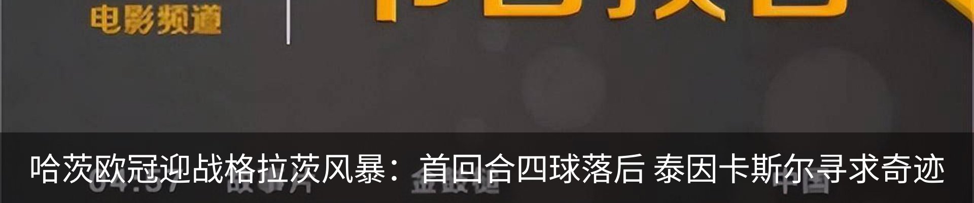 新闻动态