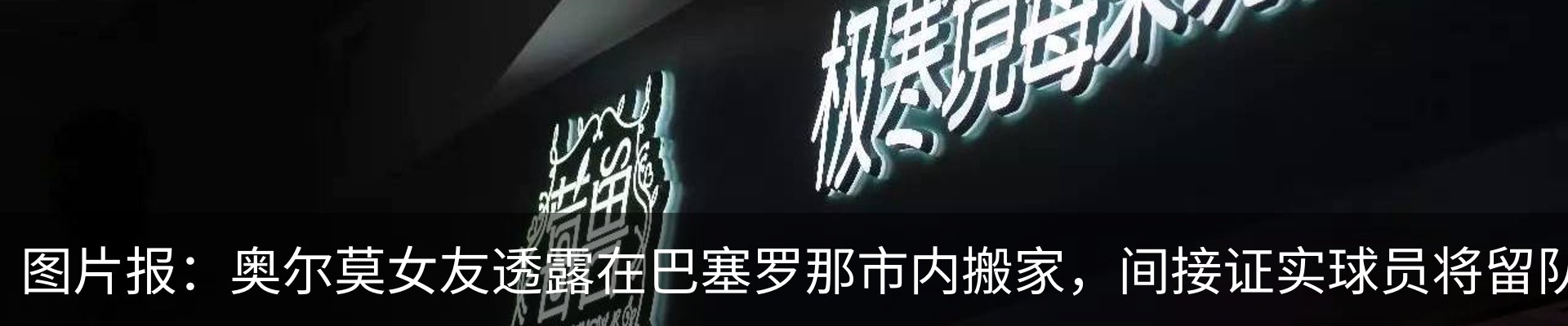 新闻动态