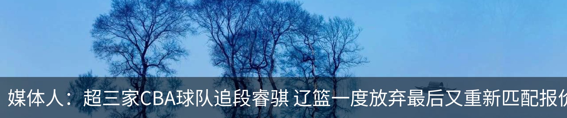 新闻动态