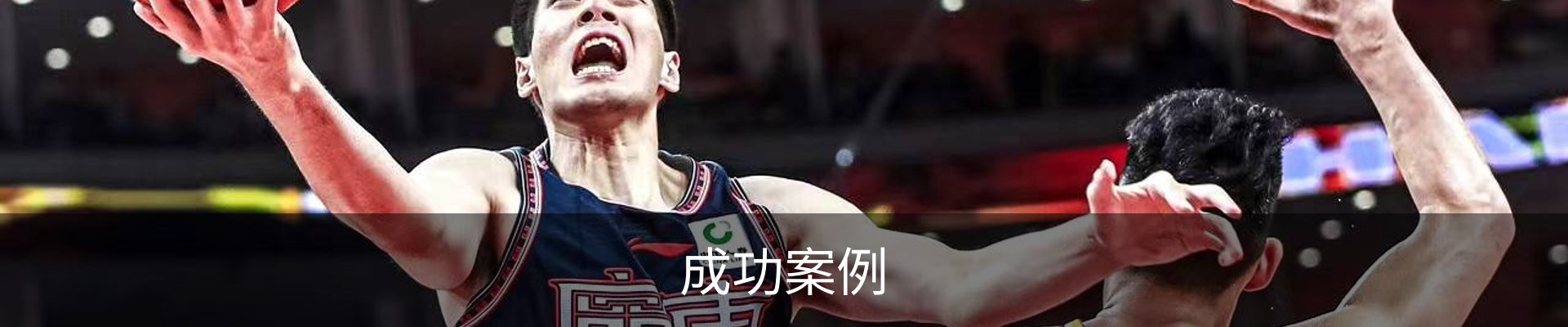 成功案例