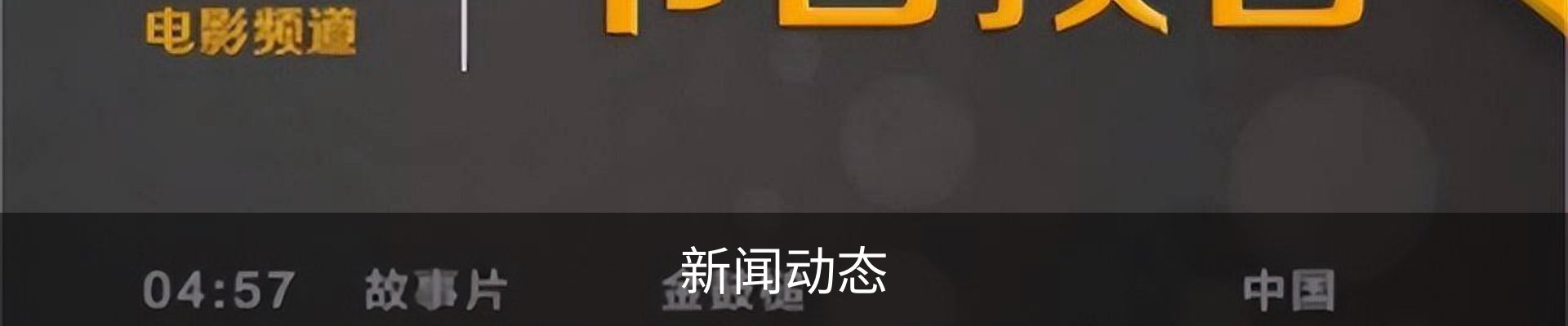 新闻动态