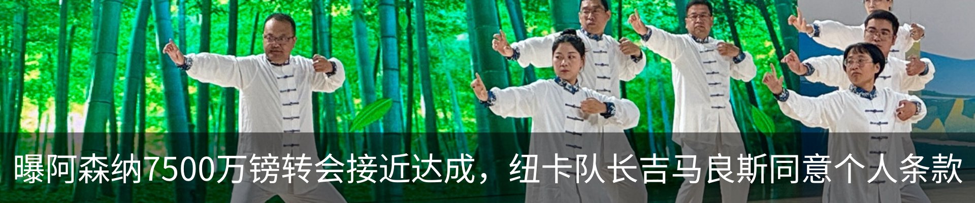 新闻动态