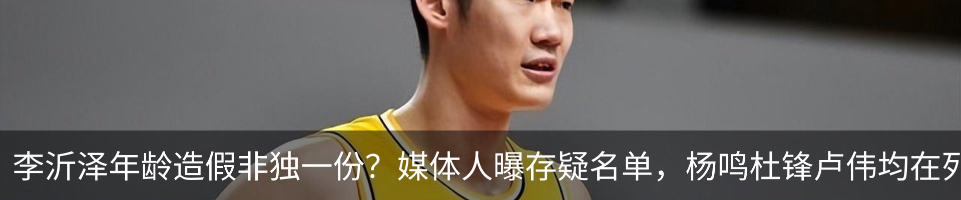 新闻动态