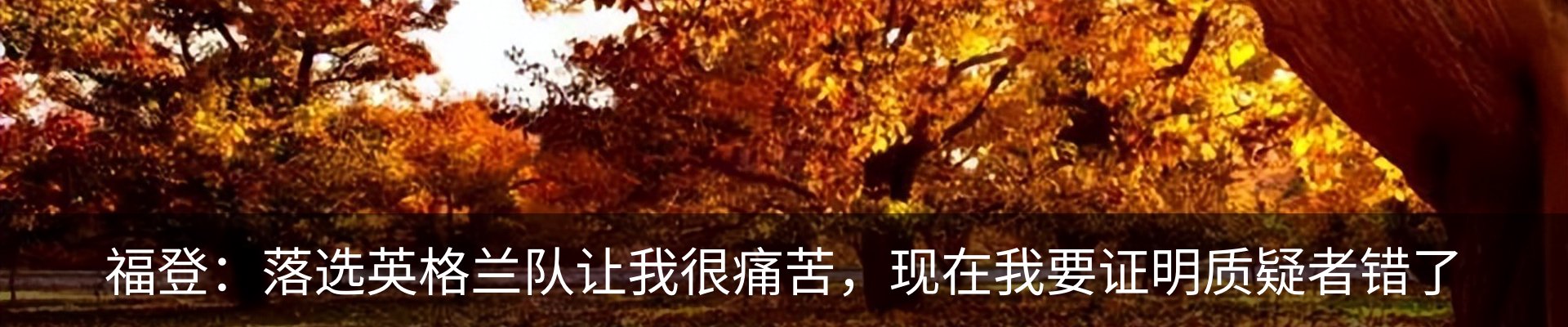 新闻动态