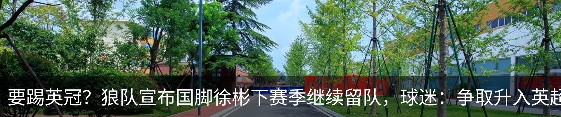 新闻动态