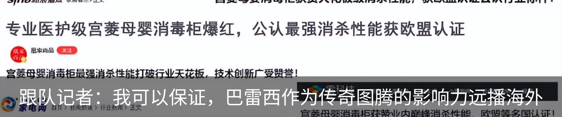 新闻动态