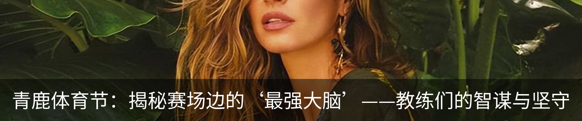 新闻动态