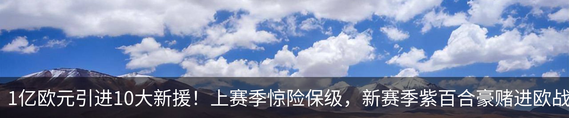 新闻动态