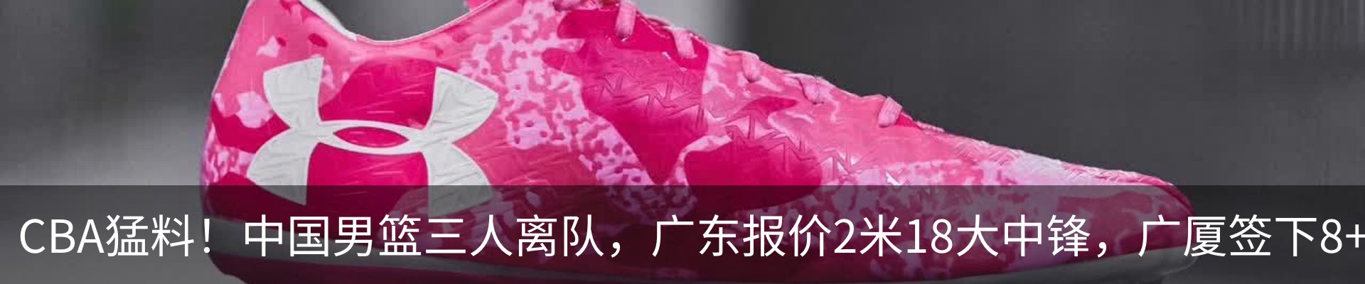 新闻动态